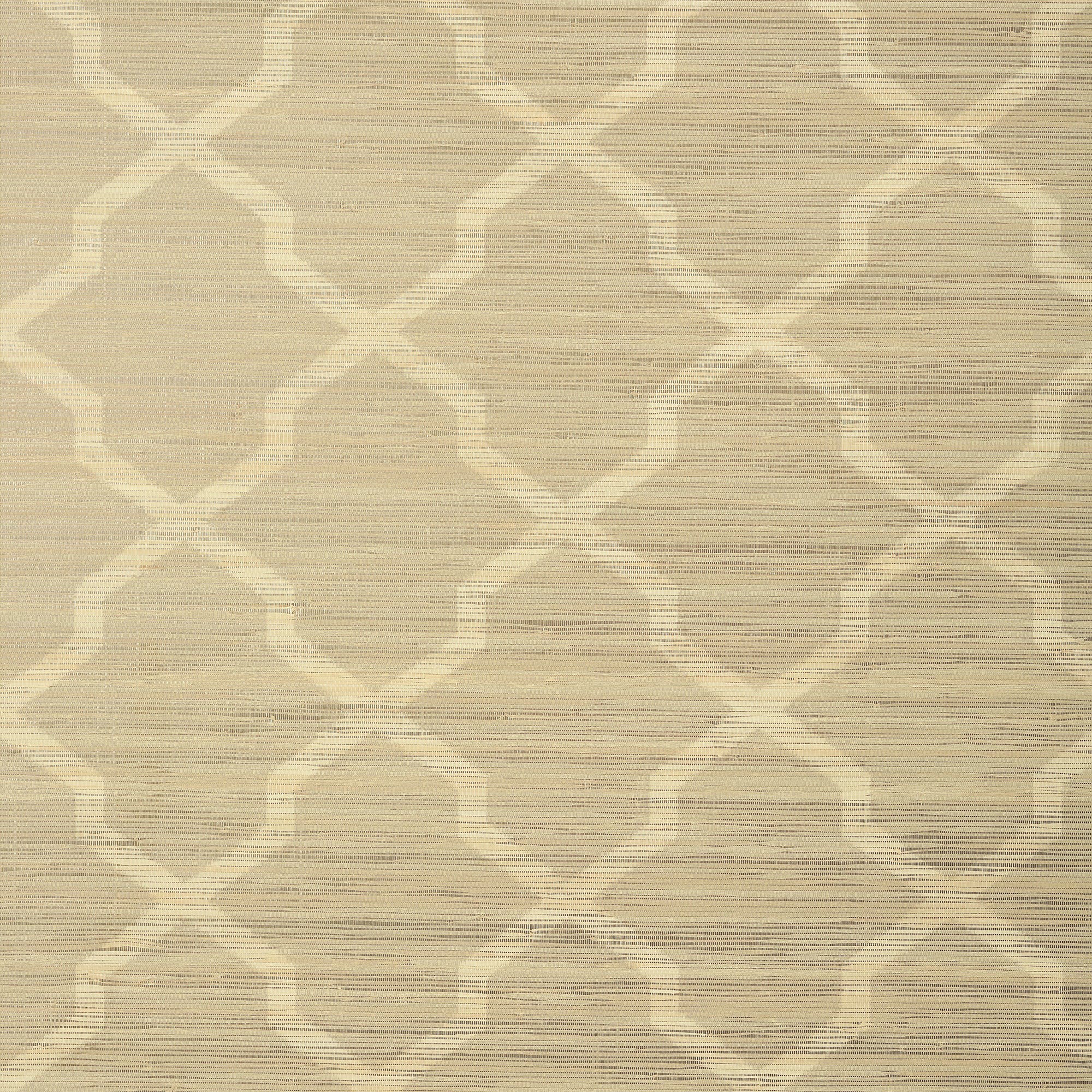 T83031 Carolyn Trellis Beige With Metallic Natural Resource 2 Wallpaper by Thibaut