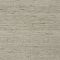 Maranta Arrowroot Greenwood Wallpaper By Thibaut