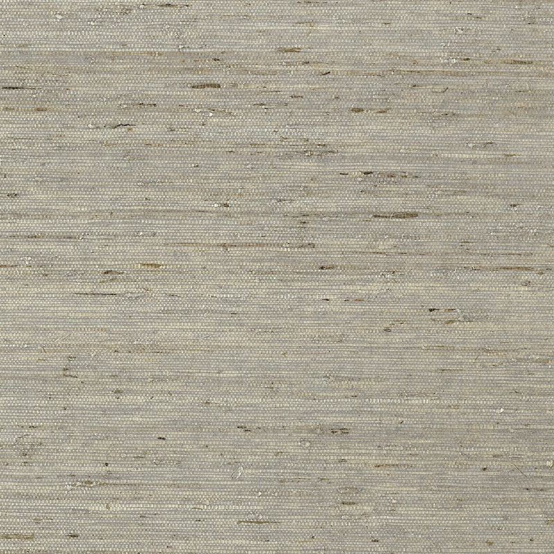 T85005 Maranta Arrowroot Greenwood Wallpaper By Thibaut