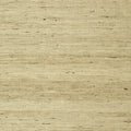 Maranta Arrowroot Greenwood Wallpaper By Thibaut