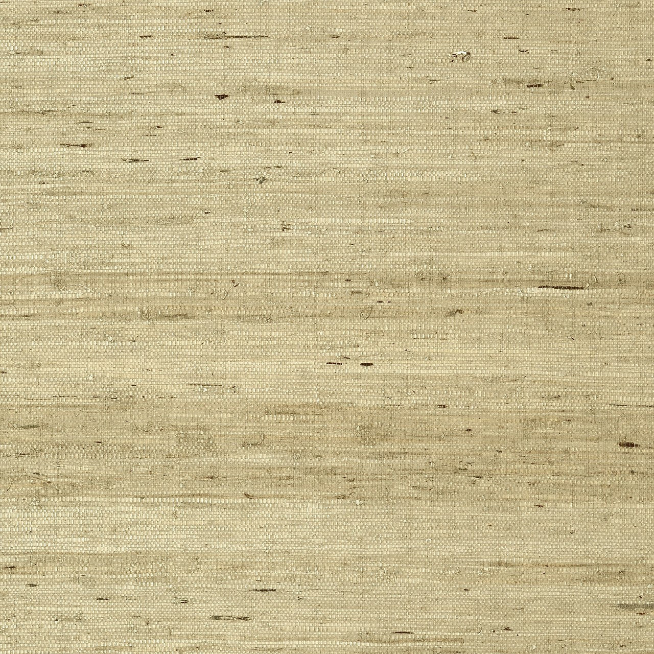 T85006 Maranta Arrowroot Greenwood Wallpaper By Thibaut