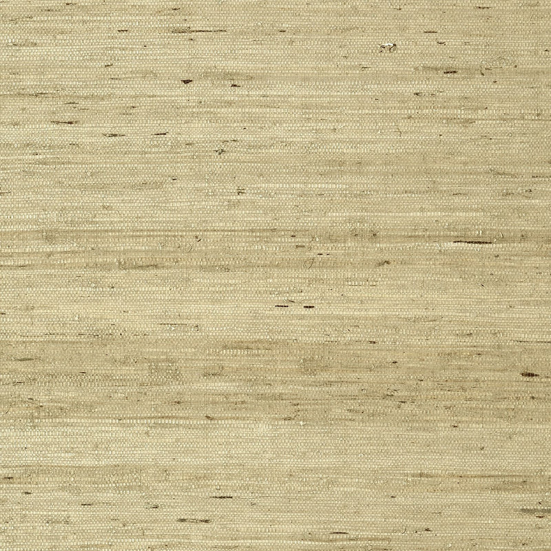 T85006 Maranta Arrowroot Greenwood Wallpaper By Thibaut