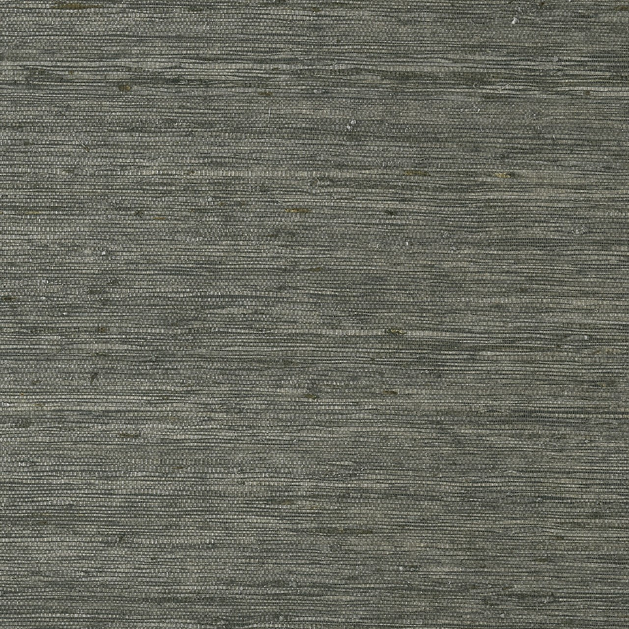 T85009 Maranta Arrowroot Greenwood Wallpaper By Thibaut