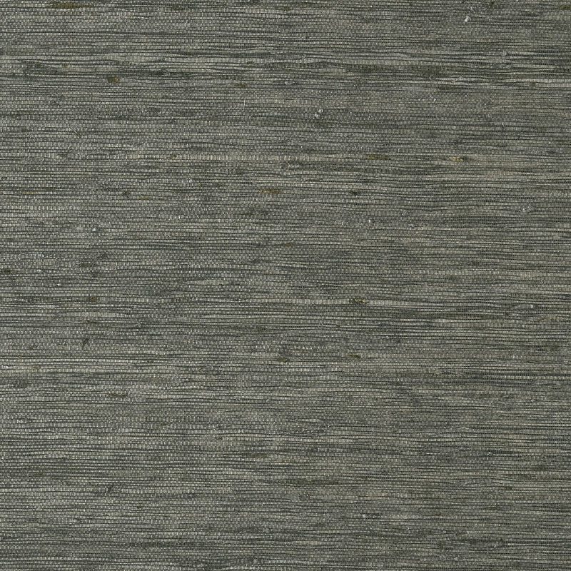 T85009 Maranta Arrowroot Greenwood Wallpaper By Thibaut