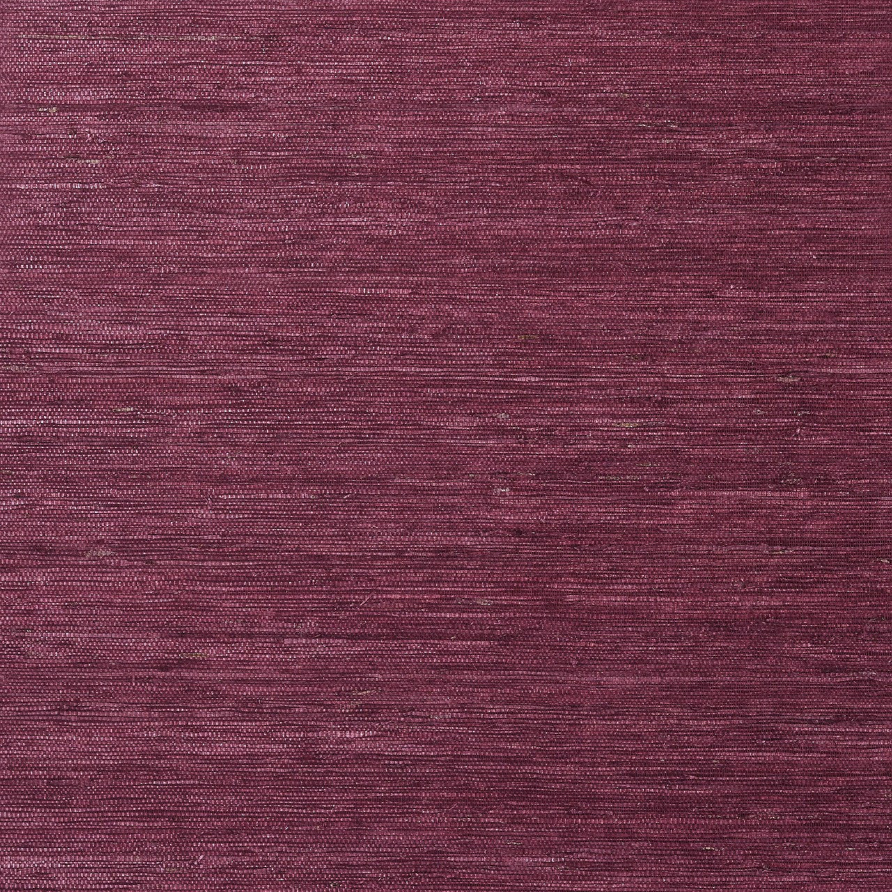 T85011 Maranta Arrowroot Greenwood Wallpaper By Thibaut