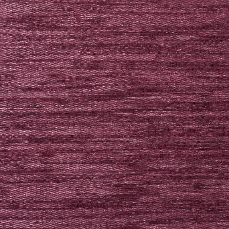 T85011 Maranta Arrowroot Greenwood Wallpaper By Thibaut