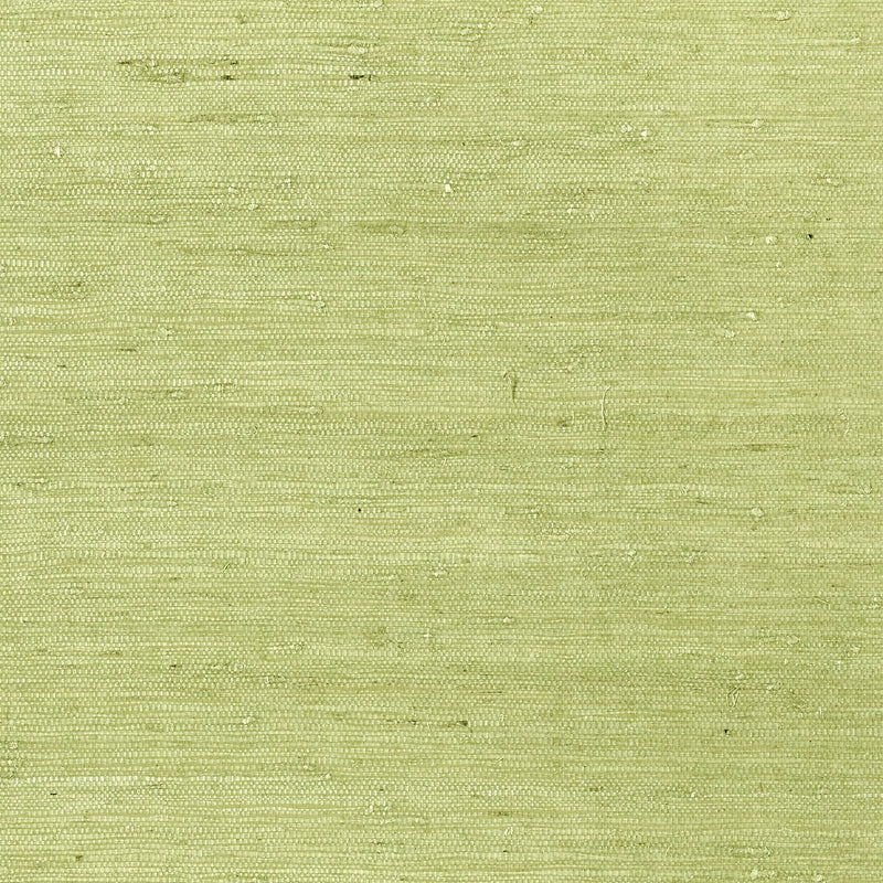 T85012 Maranta Arrowroot Greenwood Wallpaper By Thibaut