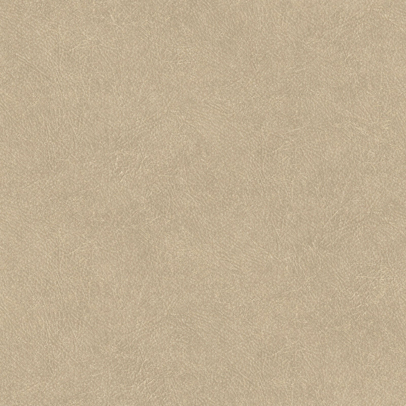 TA25021 Leather Plain Shades of Colour Wallpaper By Galerie
