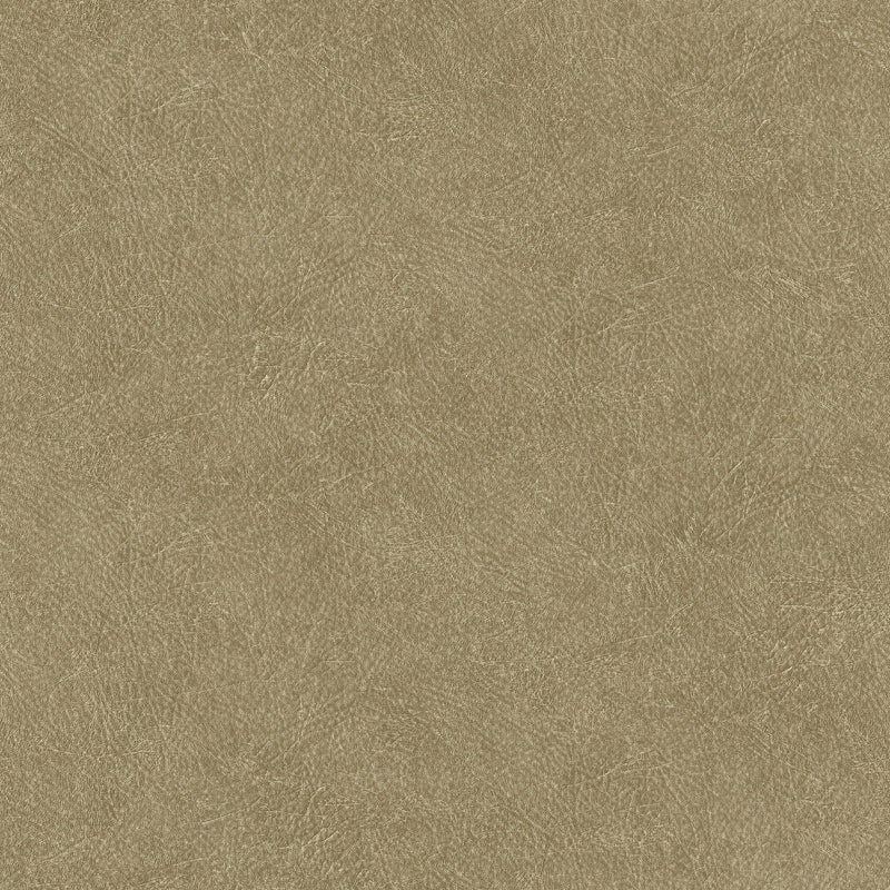 TA25022 Leather Plain Shades of Colour Wallpaper By Galerie