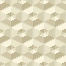 TD30506 Geometric Illusion 3D Wallcoverings Wallpaper by Today Interiors