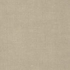 TSARARR Sarga Arroz Fabric by Coordonné - flat