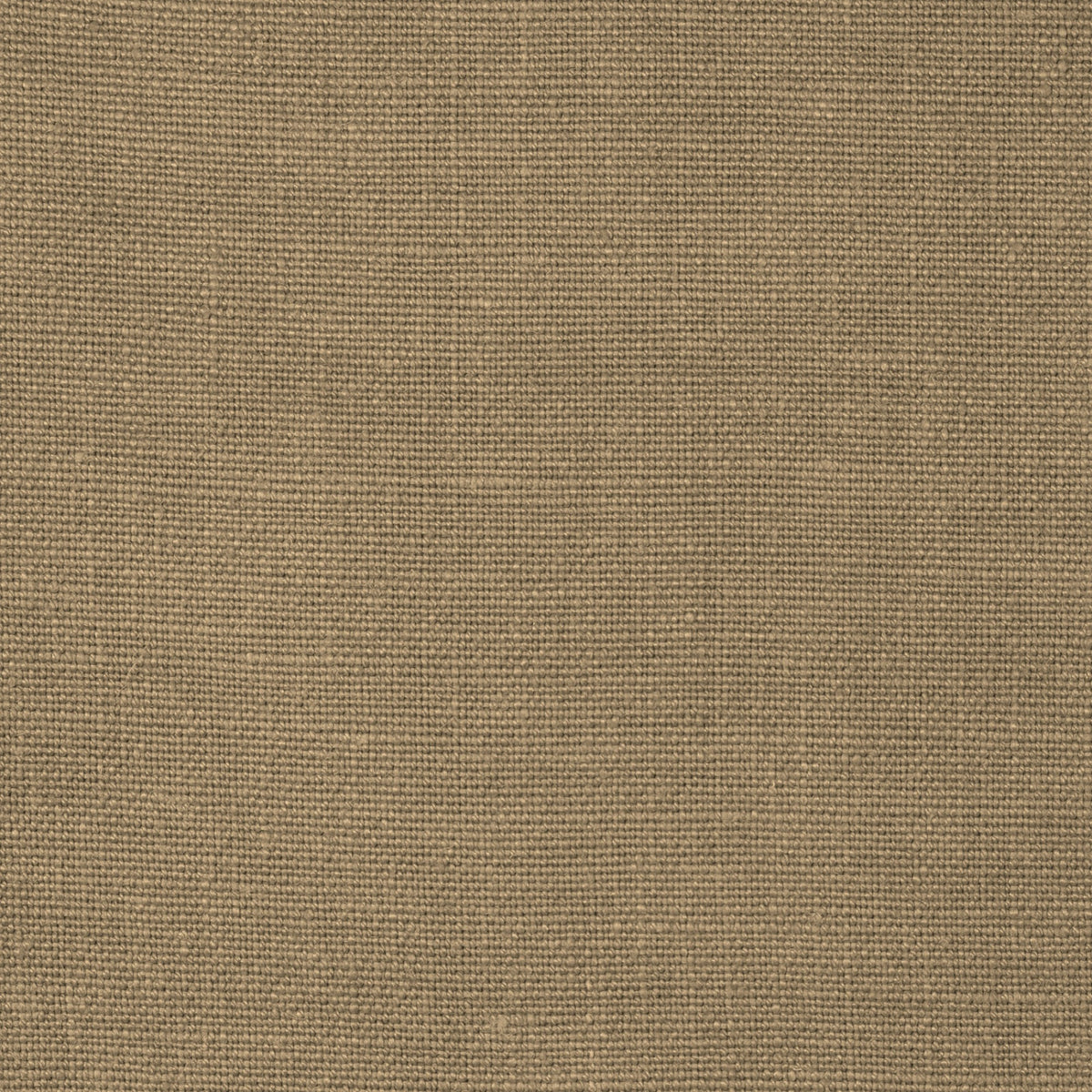 TSARGOY Sarga Goya Fabric by Coordonné - flat