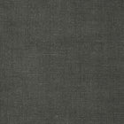 TSARPLO Sarga Plomo Fabric by Coordonné - flat