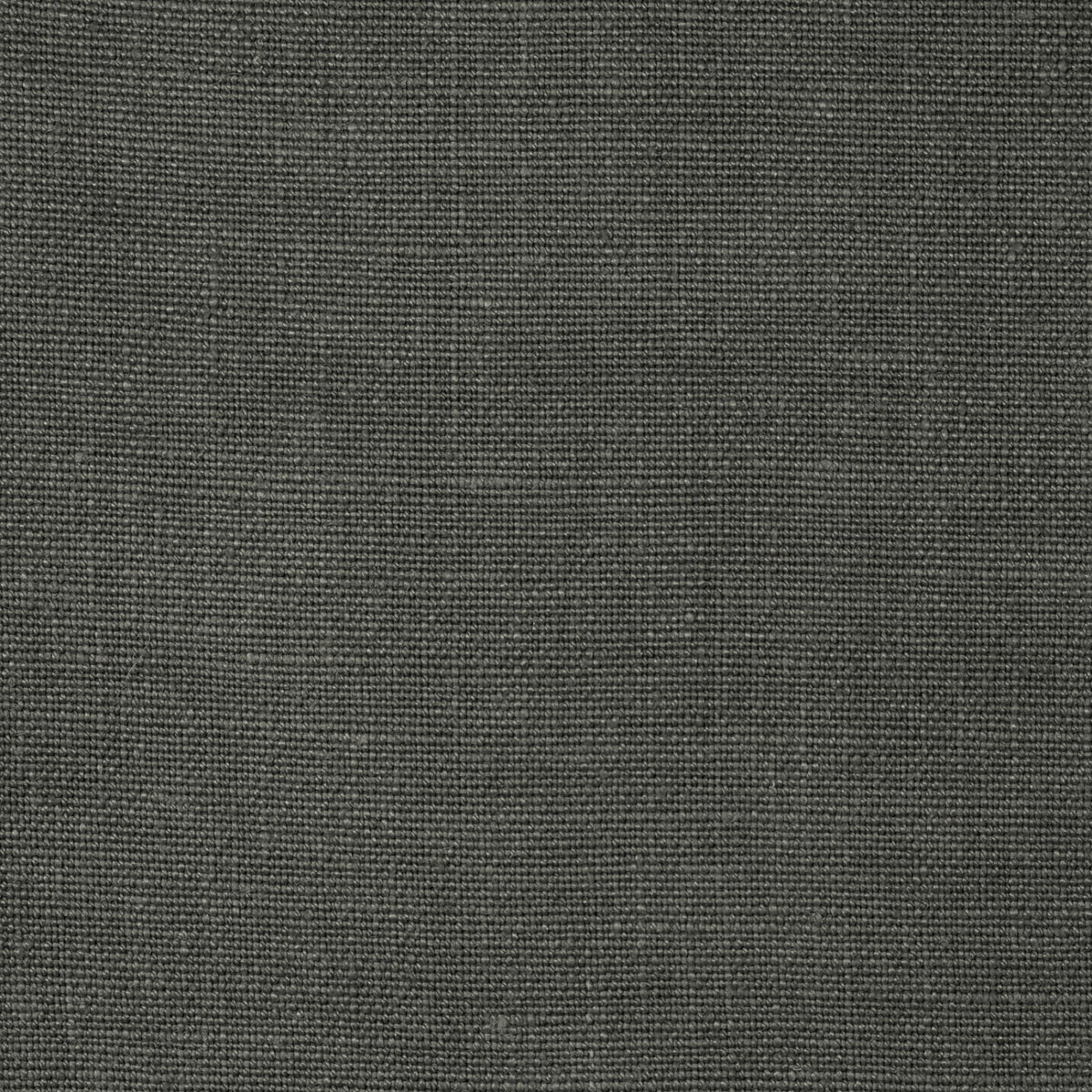 TSARPLO Sarga Plomo Fabric by Coordonné - flat