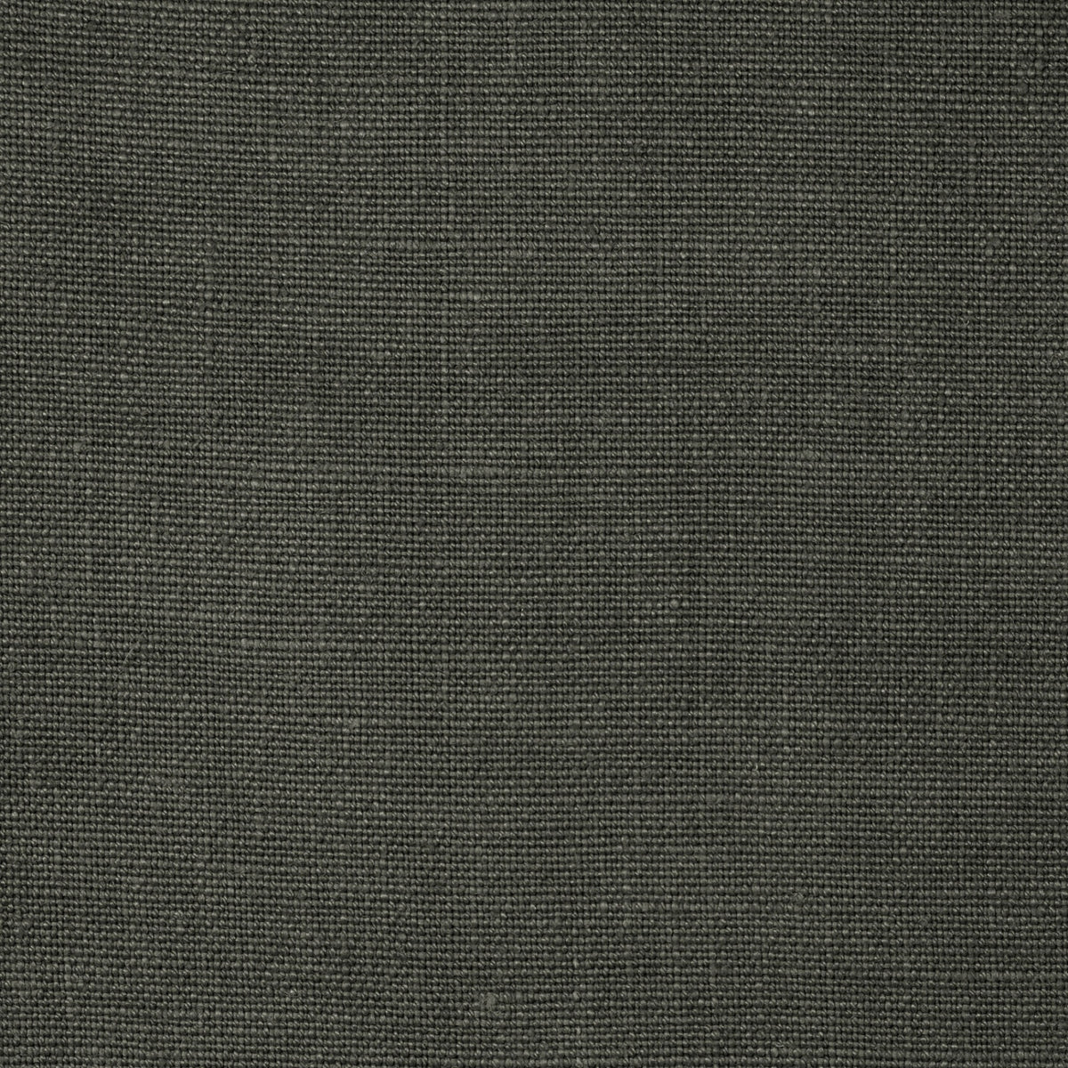 TSARREG Sarga Regaliz Fabric by Coordonné - flat