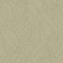 60740 Strelitzia Tali Olive Wallpaper By Arte