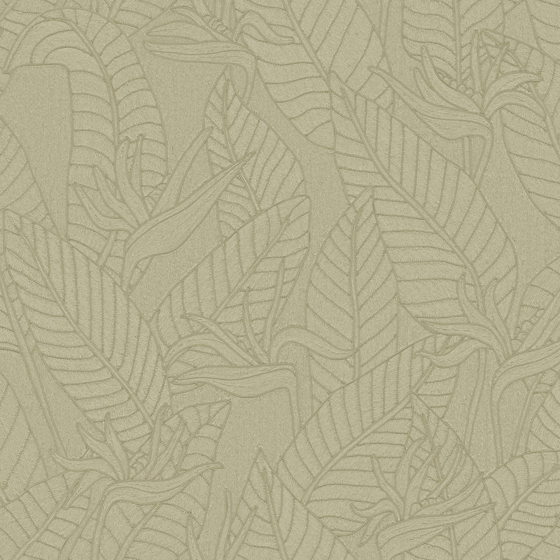 60740 Strelitzia Tali Olive Wallpaper By Arte