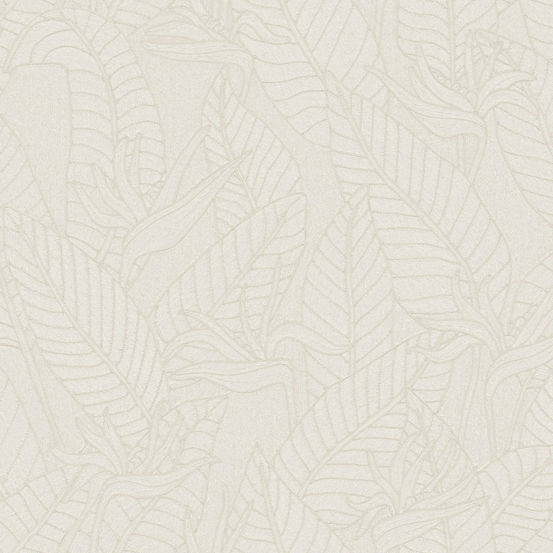 60741 Strelitzia Tali Alabaster Wallpaper By Arte