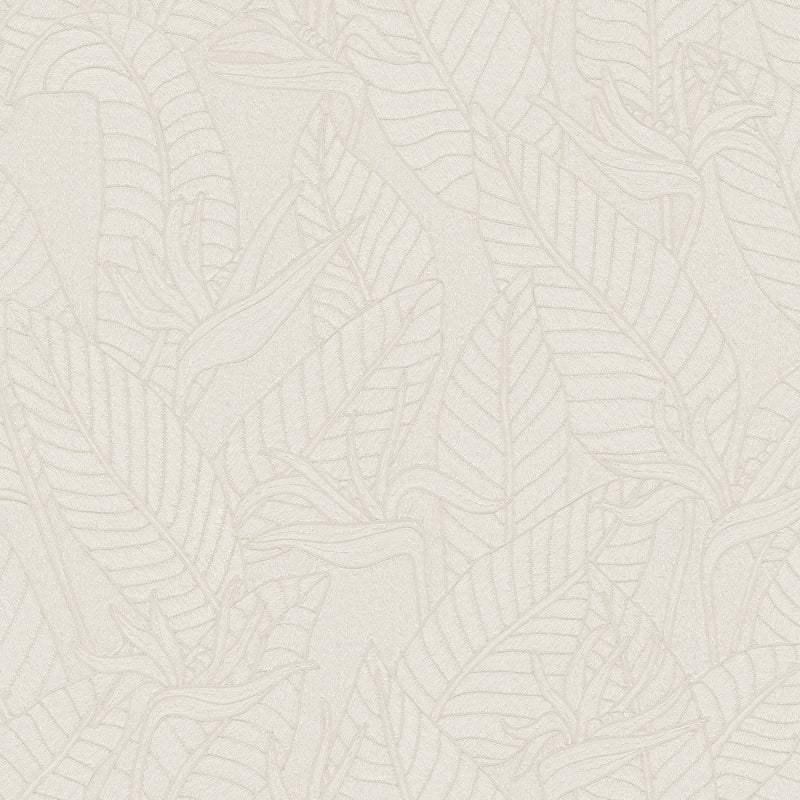 60741 Strelitzia Tali Alabaster Wallpaper By Arte