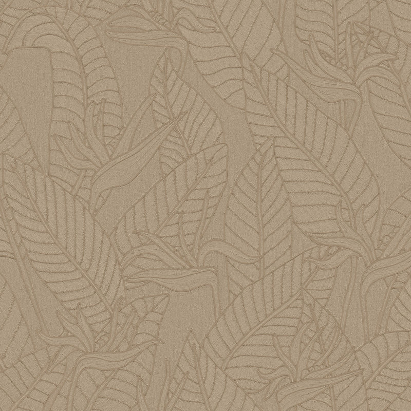 60747 Strelitzia Tali Hemp Wallpaper By Arte