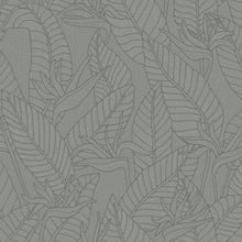 60751 Strelitzia Tali Teal Wallpaper By Arte