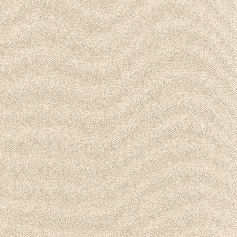 Royal Silk Mohair Velvet Beige Fall 2024 Fabric by Coraggio — flat