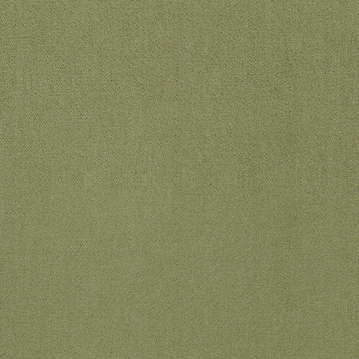Royal Silk Mohair Velvet Olive Fall 2024 Fabric by Coraggio — flat