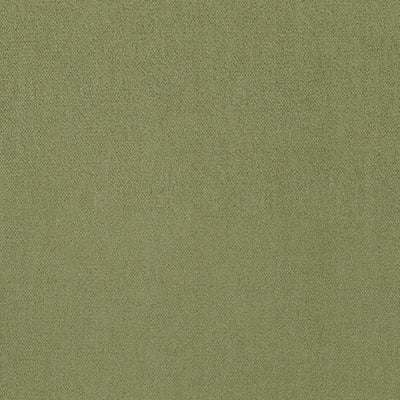 Royal Silk Mohair Velvet Olive Fall 2024 Fabric by Coraggio