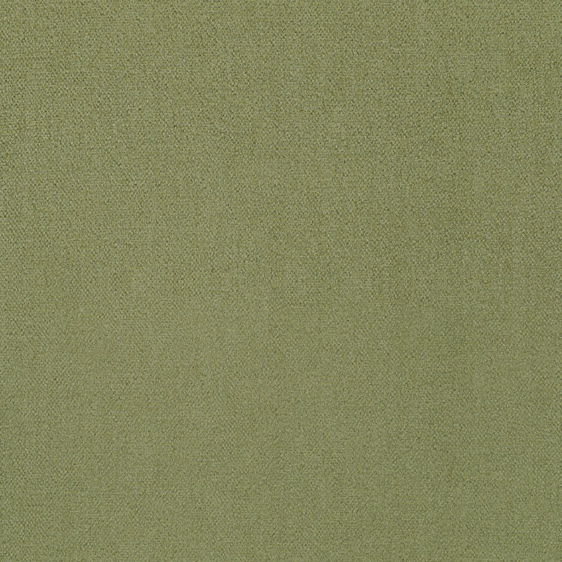 Royal Silk Mohair Velvet Olive Fall 2024 Fabric by Coraggio — flat