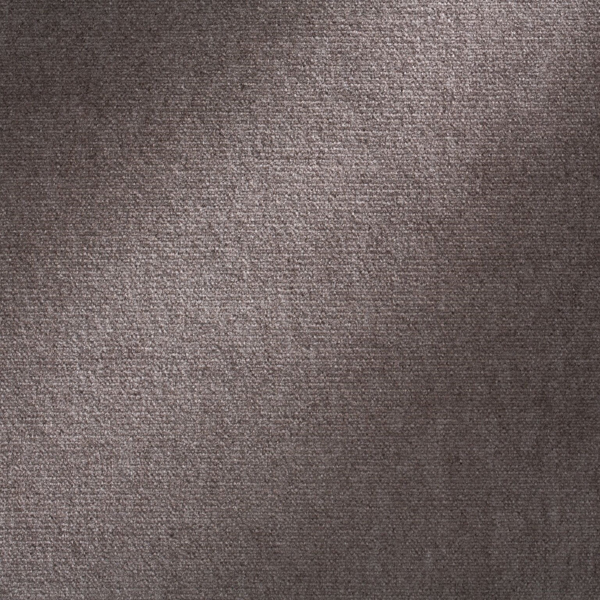 Royal Silk Mohair Velvet Minx Legacy Fabric by Coraggio — flat
