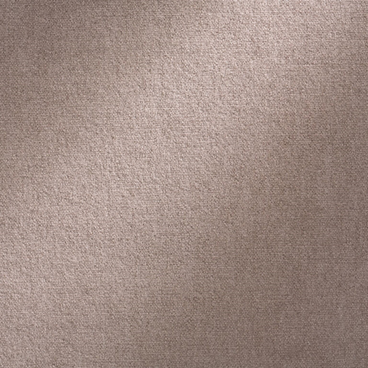 Galleria Platinum Legacy Fabric by Coraggio — flat