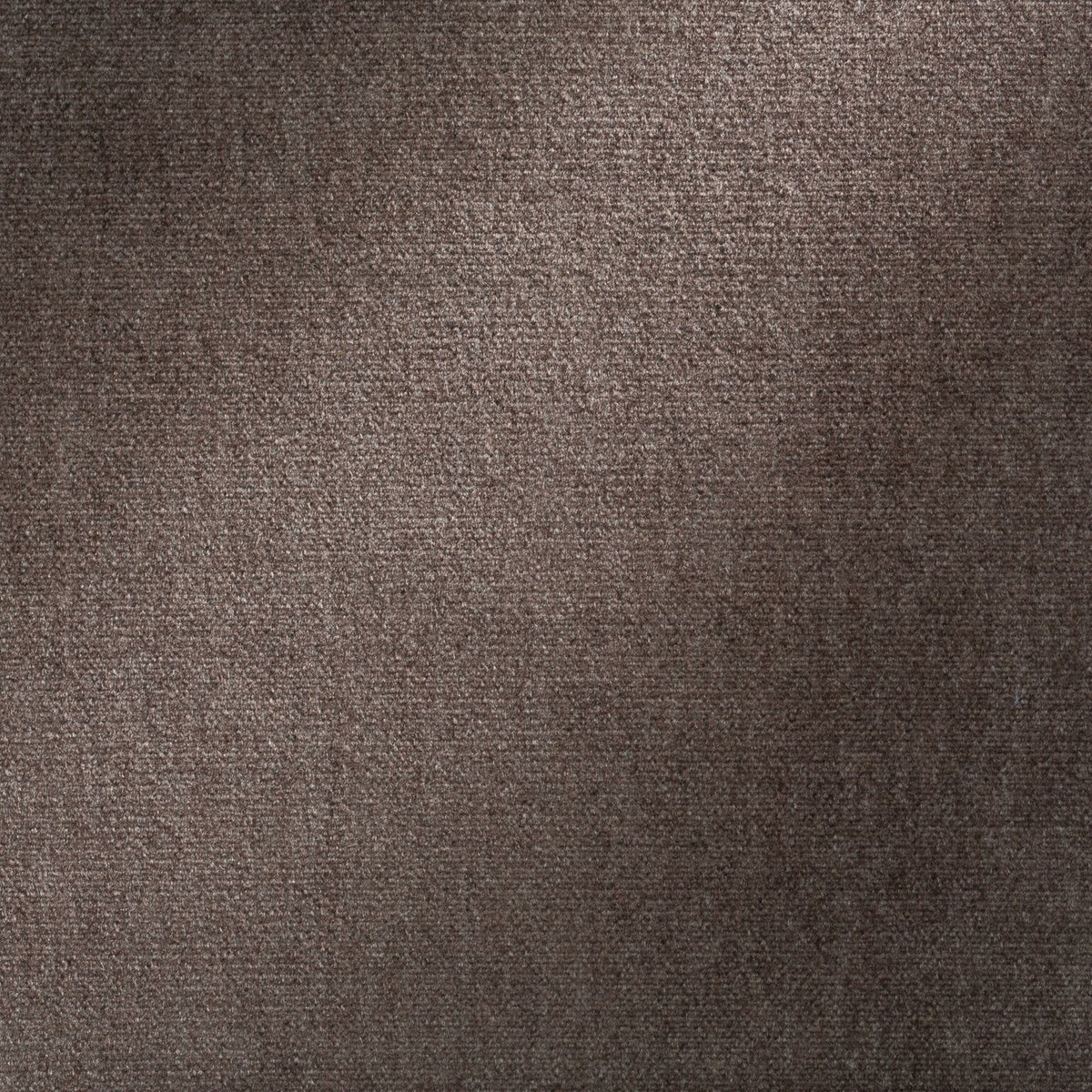 Galleria Chocolate Legacy Fabric by Coraggio — flat