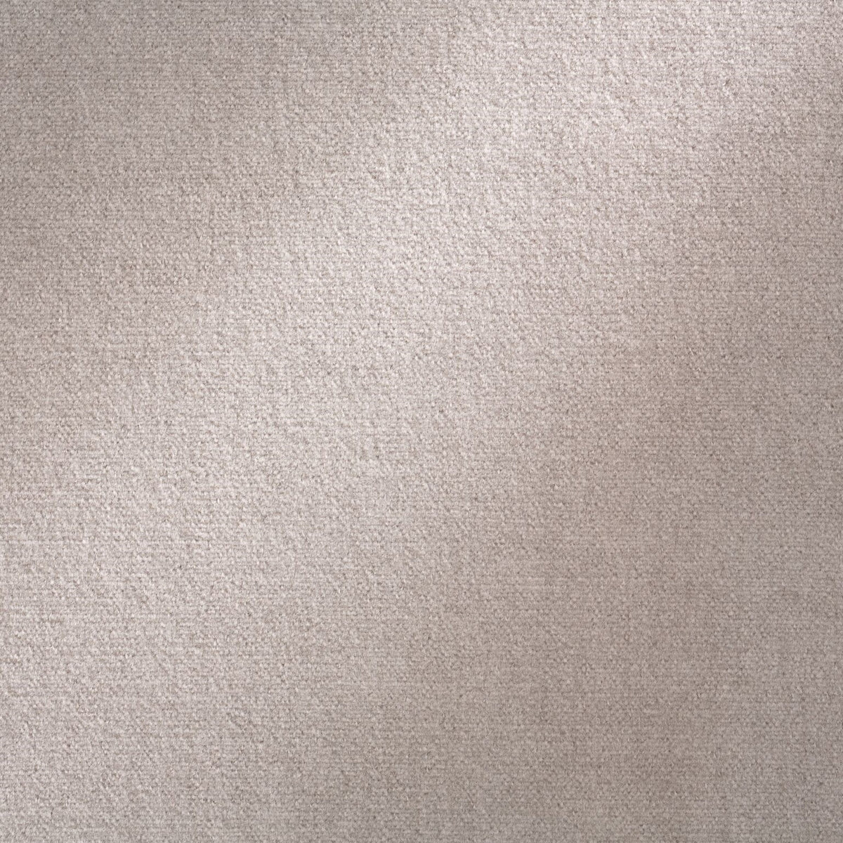 Galleria Silver Fox Legacy Fabric by Coraggio — flat