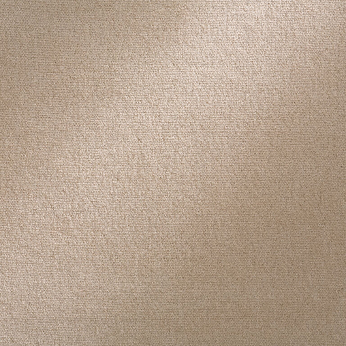 Galleria Angora Legacy Fabric by Coraggio — flat