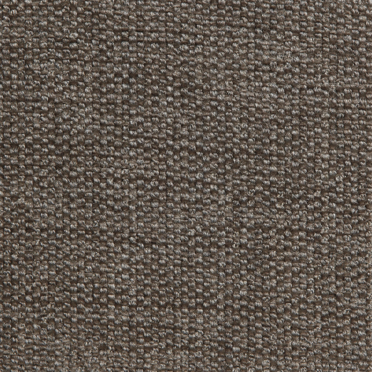 Brio Platinum Legacy Fabric by Coraggio — flat
