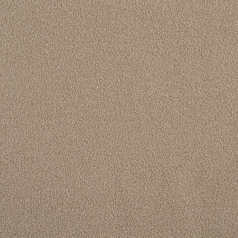 Bella Vita Argento Spring 2024 Fabric by Coraggio — flat
