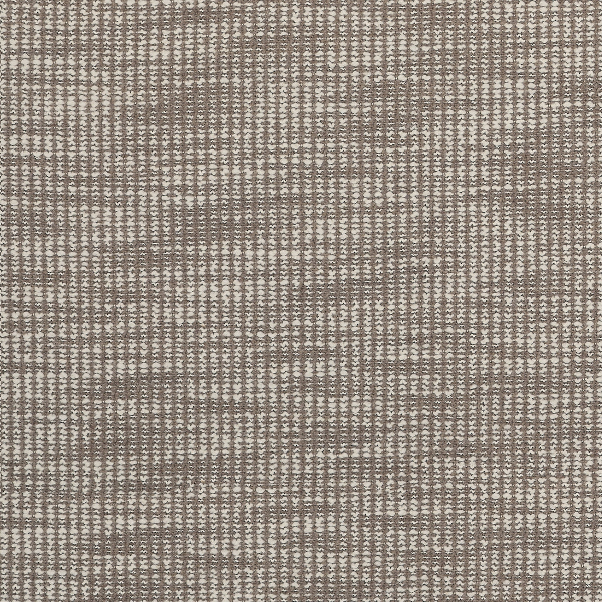 Burano Greige Spring 2025 Fabric by Coraggio — flat