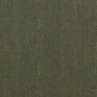 Solaro Olive Spring 2025 Fabric by Coraggio
