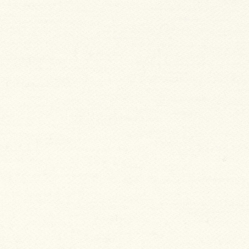 Intimo Ivory Spring 2026 Fabric by Coraggio — flat