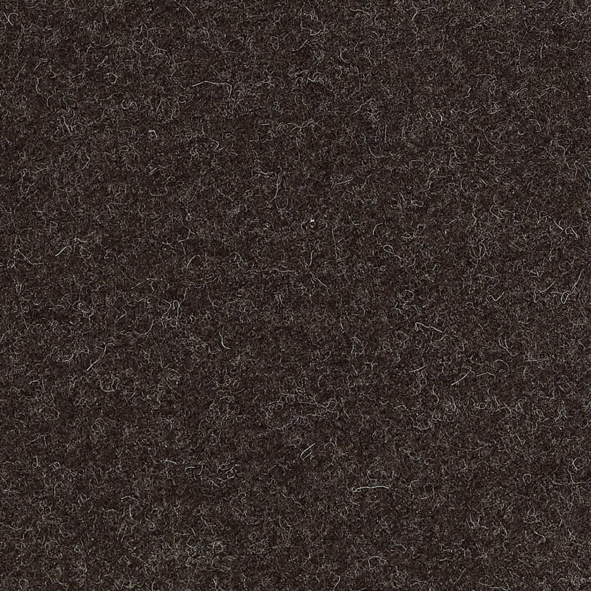Intimo Espresso Spring 2026 Fabric by Coraggio — flat