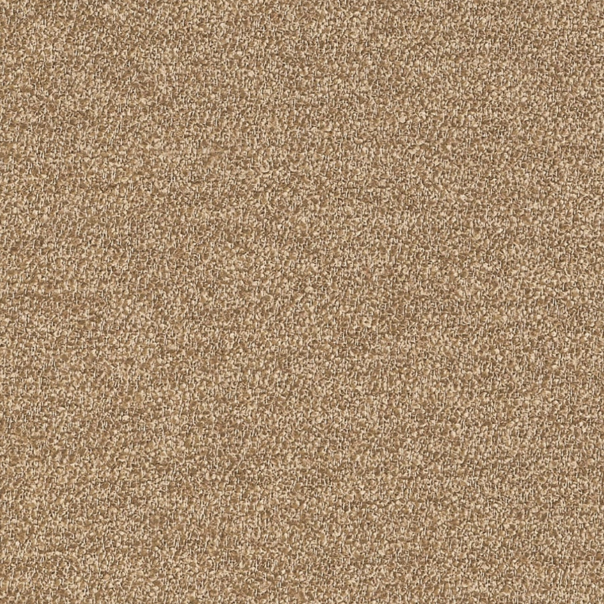 Pepato Camel Spring 2026 Fabric by Coraggio — flat