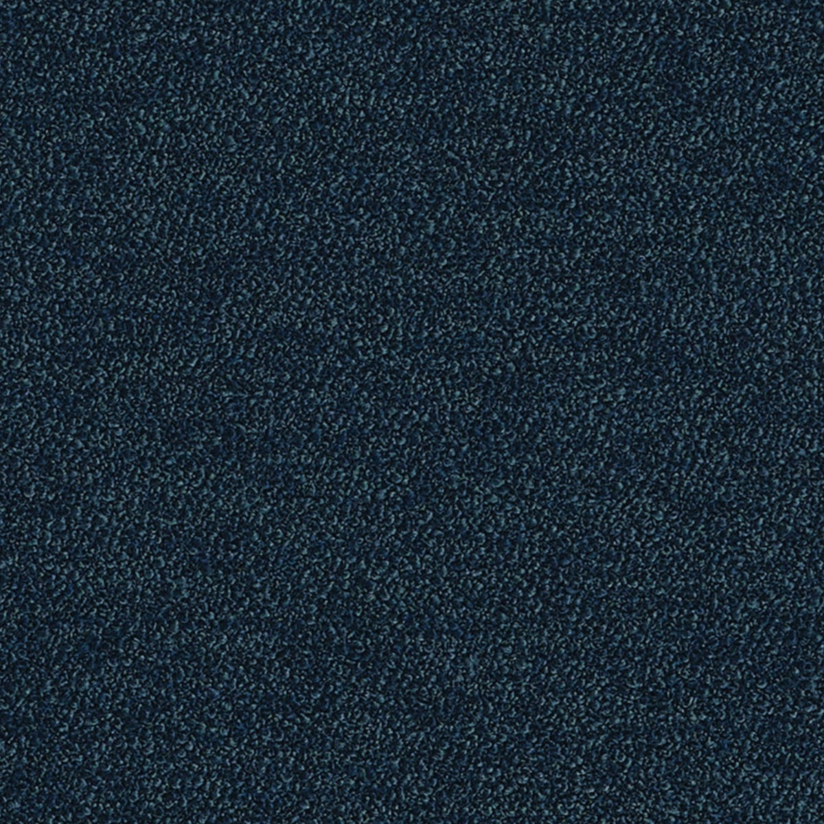 Pepato Navy Spring 2026 Fabric by Coraggio — flat