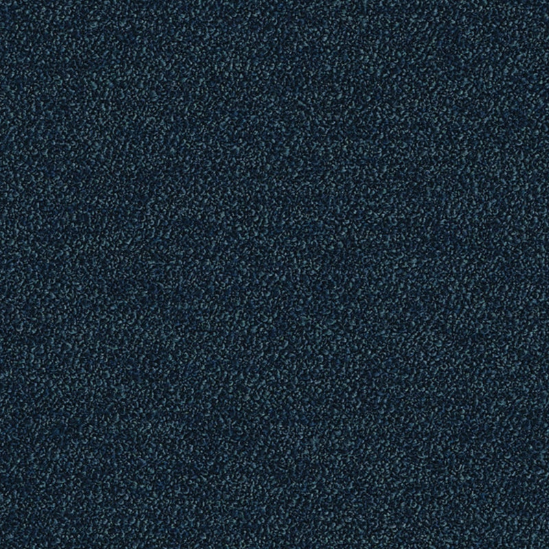 Pepato Navy Spring 2026 Fabric by Coraggio — flat