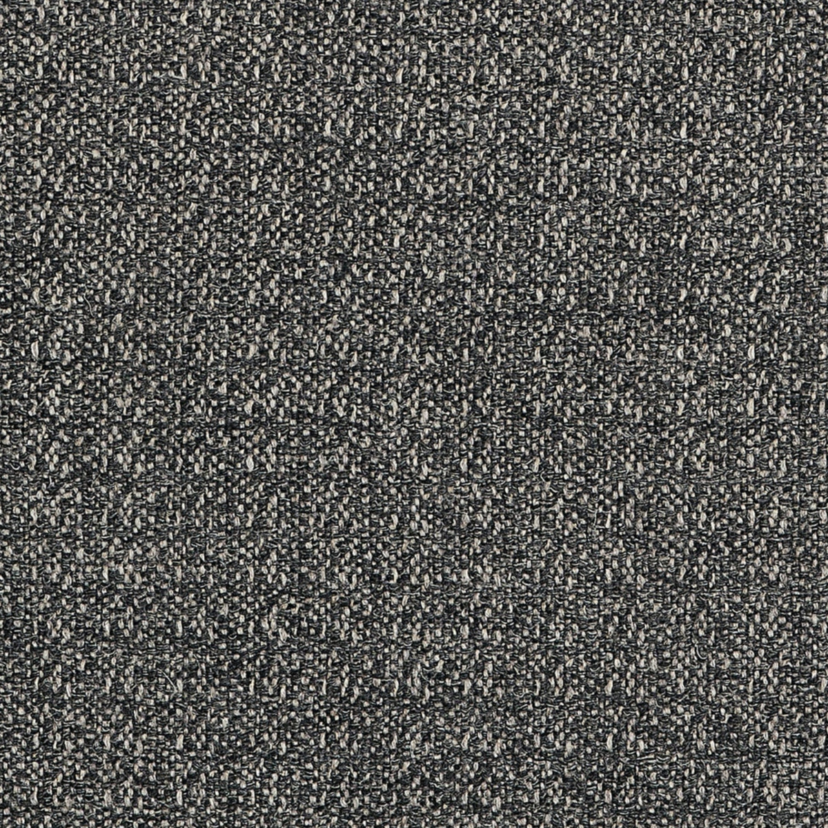 Cestino Wool Black Spring 2026 Fabric by Coraggio — flat