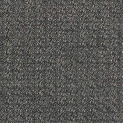 Cestino Wool Black Spring 2026 Fabric by Coraggio
