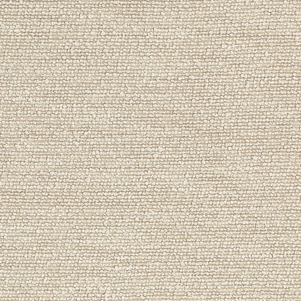 Statico Sand Spring 2026 Fabric by Coraggio — flat