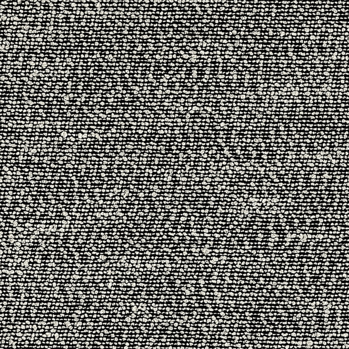 Statico Black Spring 2026 Fabric by Coraggio — flat