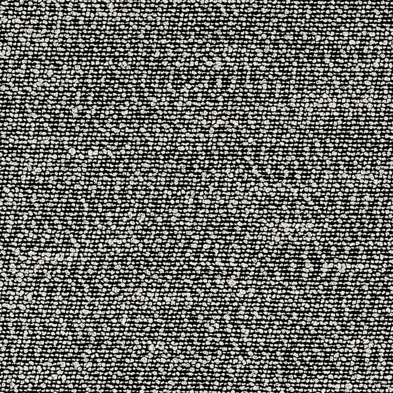 Statico Black Spring 2026 Fabric by Coraggio — flat