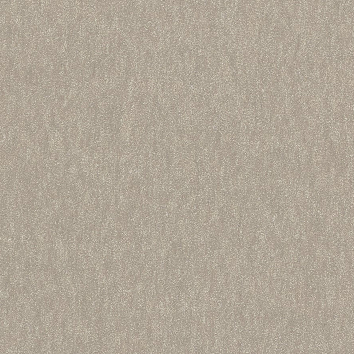 Biella Wool Taupe Spring 2026 Fabric by Coraggio — flat
