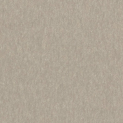 Biella Wool Taupe Spring 2026 Fabric by Coraggio